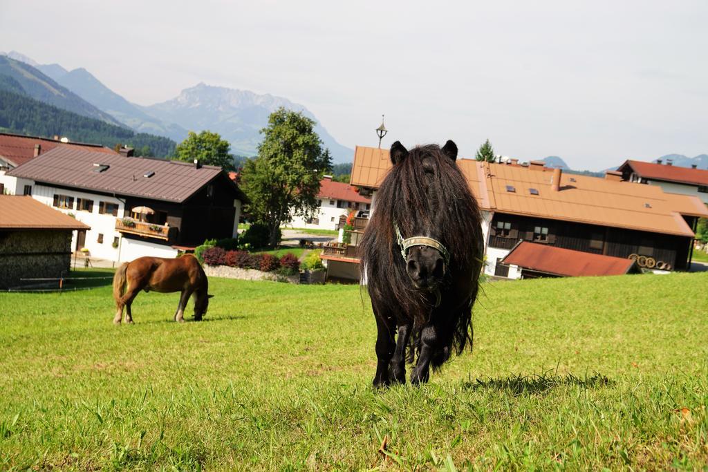 Haus Zauner Reit im Winkl Kültér fotó